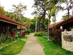 ~̊J̓y߂I{ÓIXXόX|bg̋LTlC