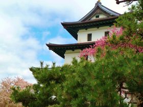花と歴史を訪ねて…北の城下町北海道「松前町」を歩いて巡る