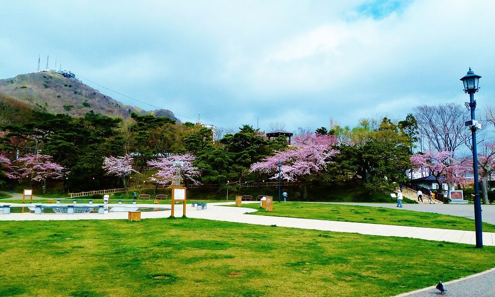 「函館公園」は国指定文化財にも指定される歴史ある桜の名所