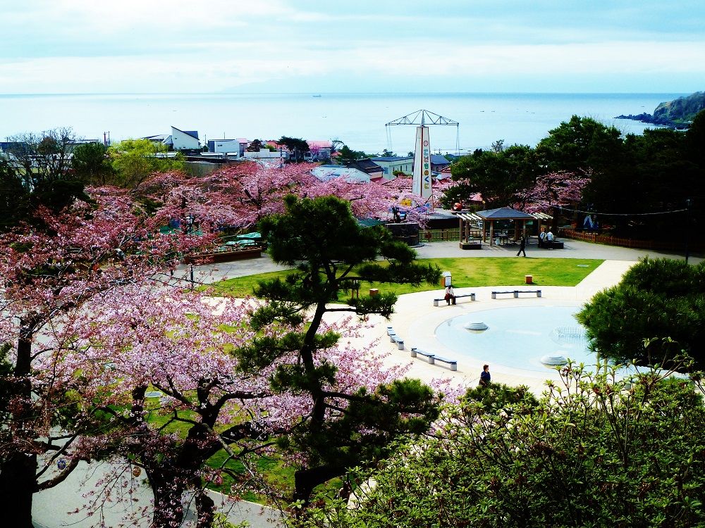 子供から大人まで楽しい！「函館公園」は国指定文化財