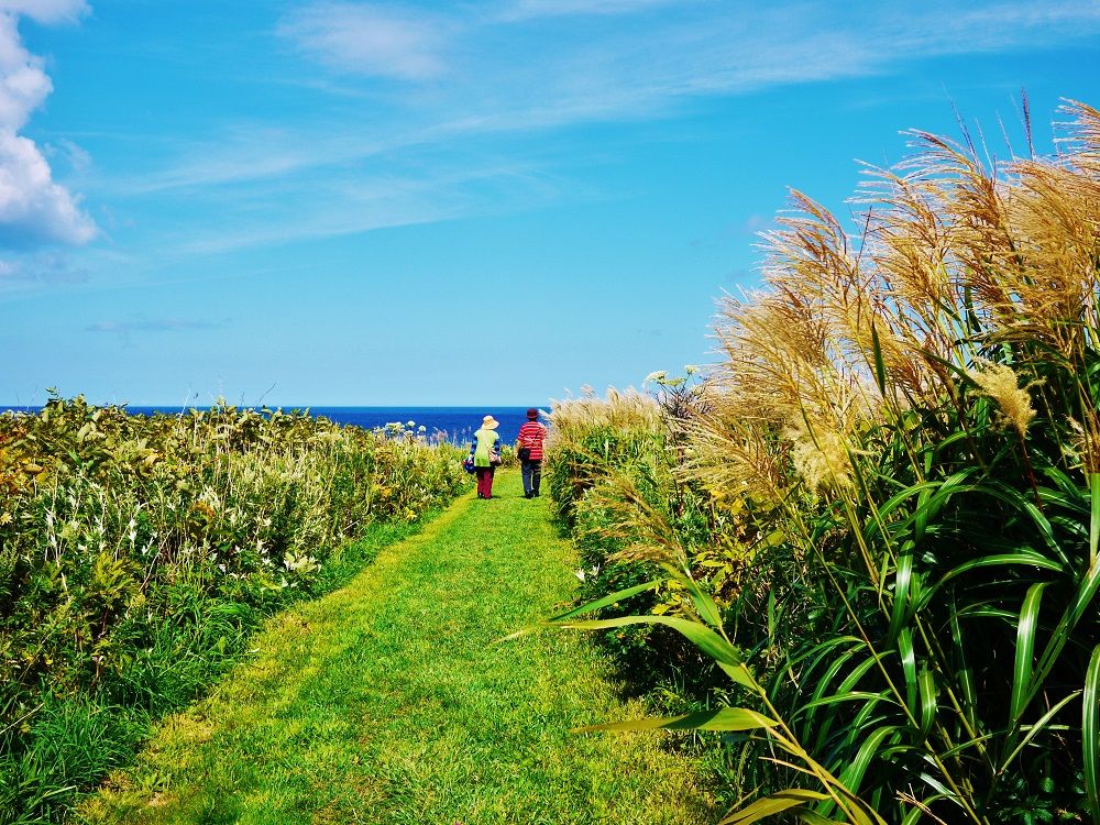 「弁慶岬」の遊歩道は青い海へと続く美しい草原の道