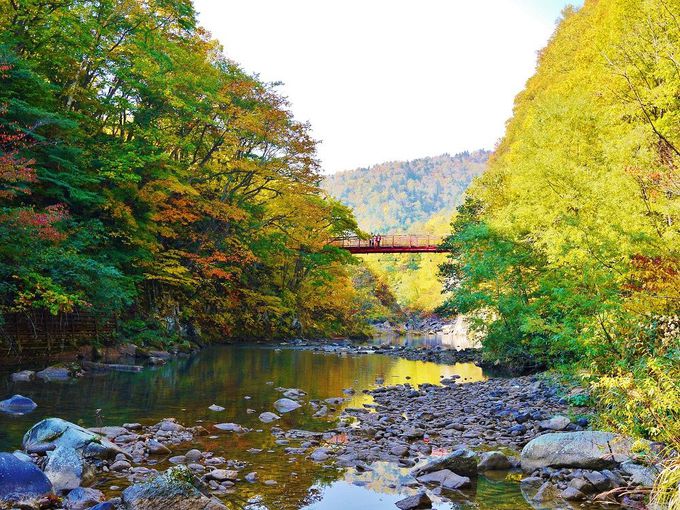 秋色渓谷の絶景 紅葉の定山渓散策路 二見公園 二見吊橋 北海道 Lineトラベルjp 旅行ガイド