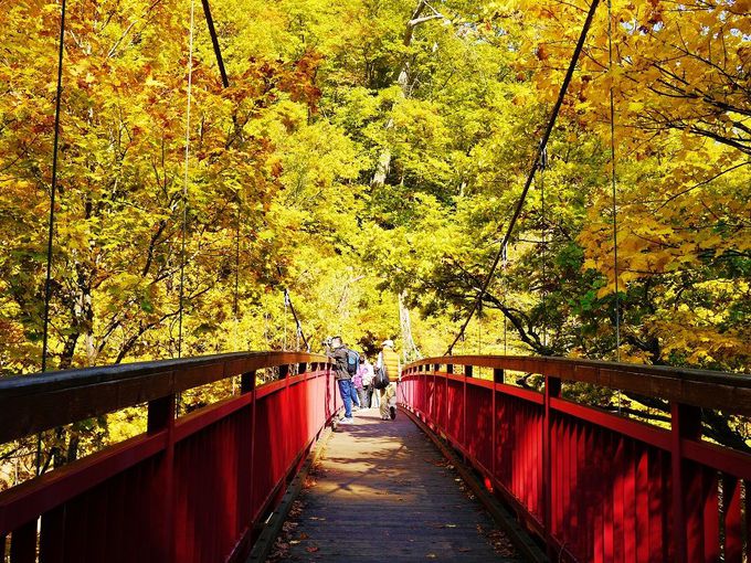 秋色渓谷の絶景 紅葉の定山渓散策路 二見公園 二見吊橋 北海道 Lineトラベルjp 旅行ガイド