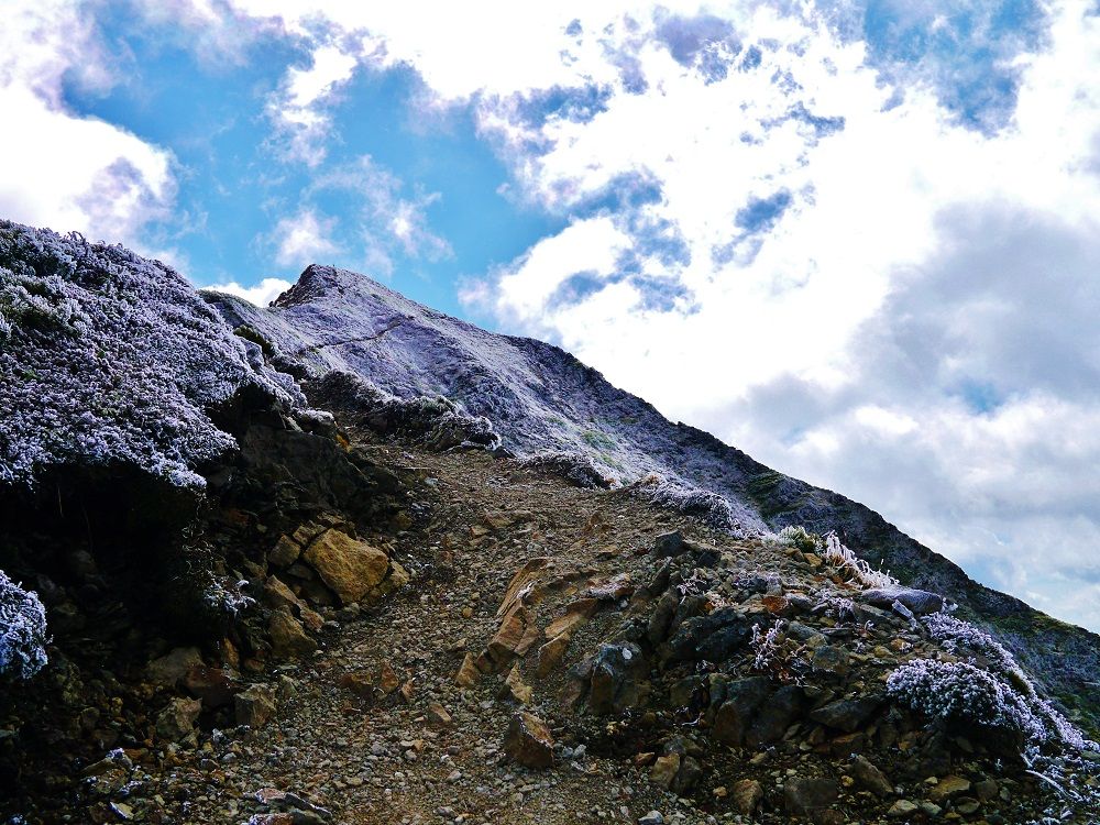 「ニペソツ山」の変化に飛んだ険しい登山道を進む