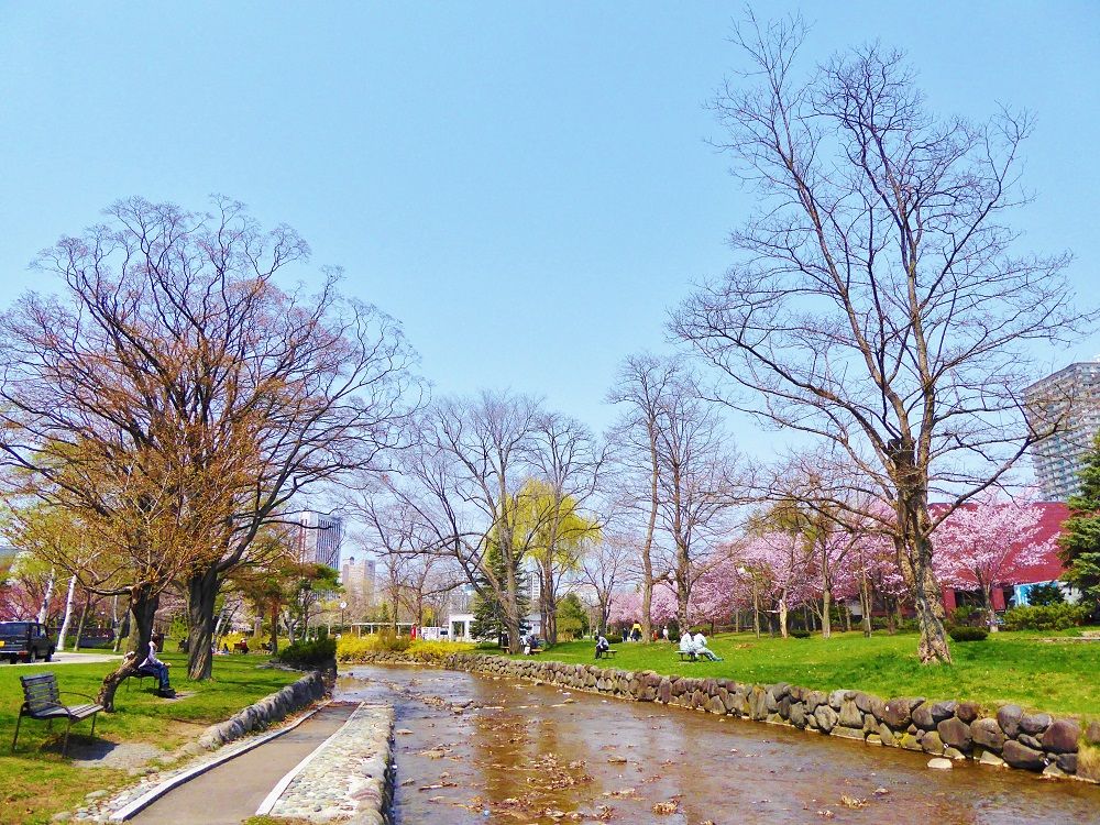 川に流れに沿って桜咲き誇る｢中島公園」にも訪れてみよう