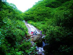 oy߂Im̕tɂтΗxoR̋LTlC