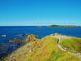 �當���̂������ߊό��X�|�b�g8�I ���R�A�����炭��Ղ̎��R���̋L���T���l�C��