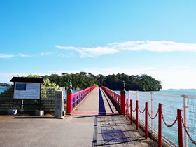 出会い橋で結ばれる福浦島は日本三景松島に浮かぶ自然の宝庫