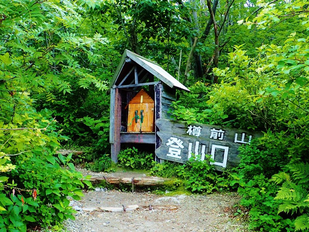 oRS҂qAoRɂ߁IMORuRR[Xv