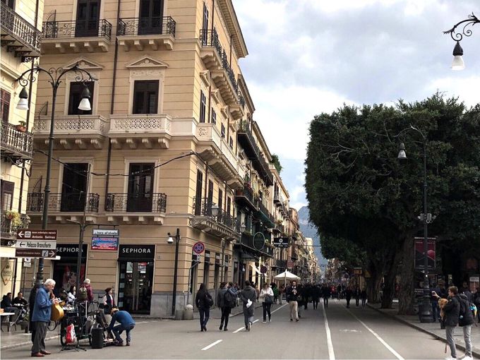 �f��̃��P�n�Ƃ��Ă��L���I�}�b�V������