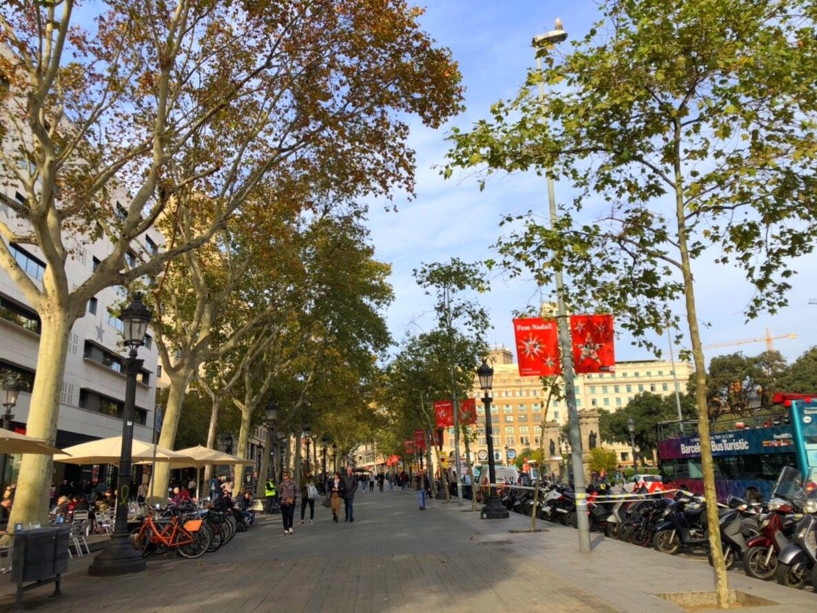 バルセロナを代表する遊歩道「ランブラス通り」