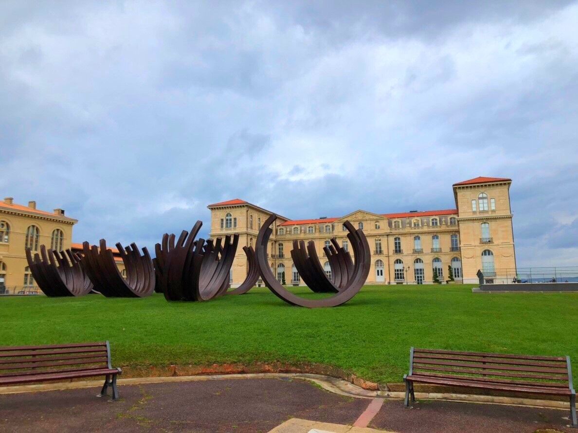 ߌF݉ăTEBNg[C@Et@{a