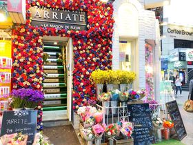 �\�E���O��Ő�΍s�������I�ԂɈ͂܂ꂽ�t�����[�J�t�F�uARRIATE�v�̋L���T���l�C��