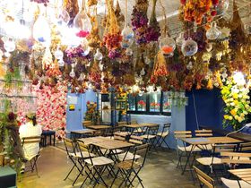 �؍��\�E���Ő�΍s�������I�V�[���ʃI�X�X���J�t�F5�I�̋L���T���l�C��