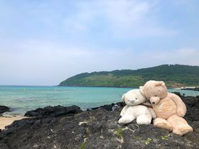 �������猊��܂ŁI�f���ʐ^���B���`�F�W���������߃r�[�`3�I�̋L���T���l�C��