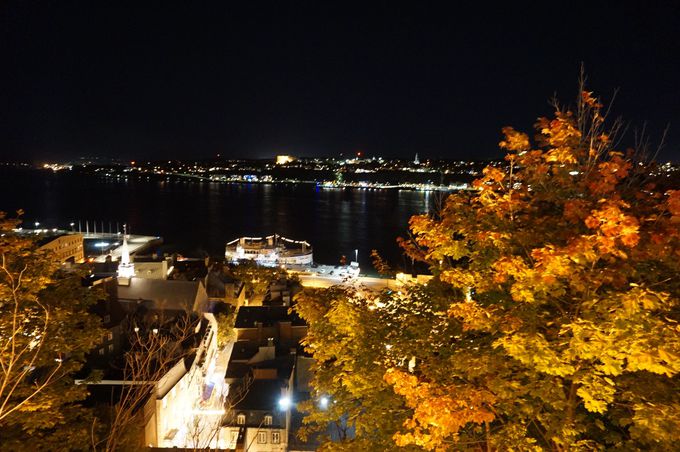 u_LvƁuVg[EtgibNv]ތiF