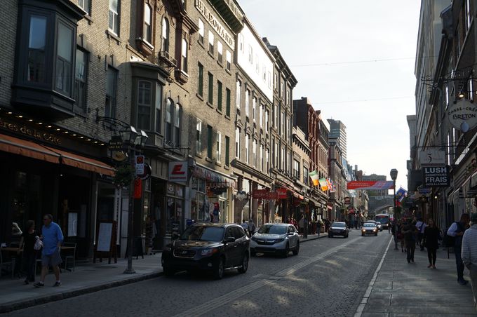 tX̊XɃ[v悤ȁuTEWʂv