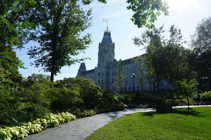 uPxbNBcvŐ̏̂Ă݂悤