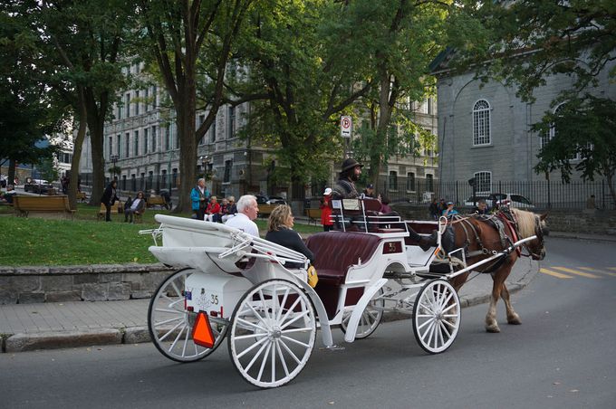 nԂiςɔzfUCȂǁA܂܂ȊyݕI