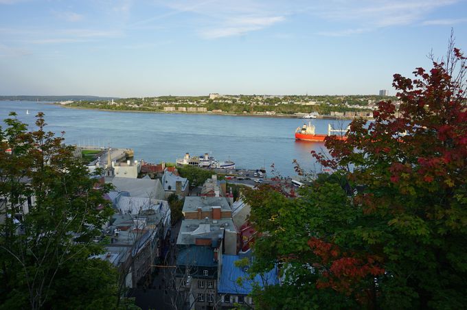 u_LvƁuVg[EtgibNv]ތiF