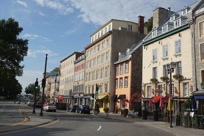 ĈقƂUČグvǂƃJtȘHn