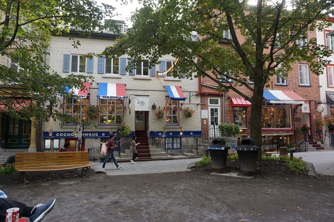 u܂KivƁuv`EVvnvŔiFƂH