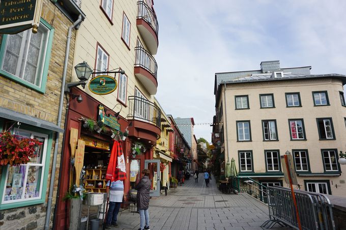 u܂KivƁuv`EVvnvŔiFƂH