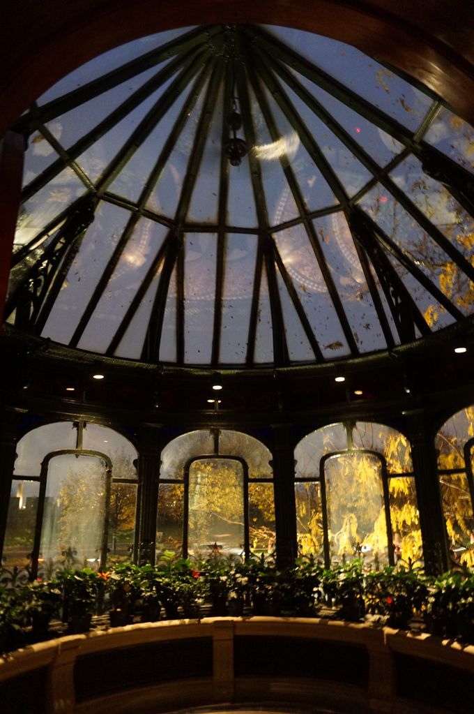 fUC⌚zwԂȂuJi_zZ^[v