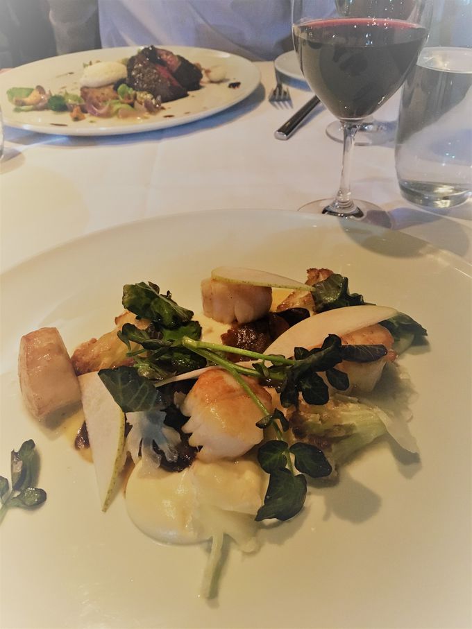 _[sAiModern Europeanj