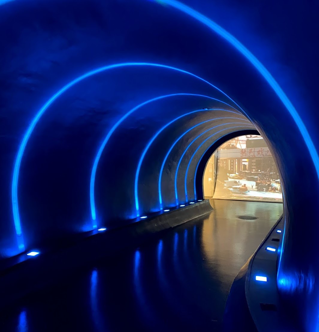 �K���o�[�g���l����ʂ蔲���đ�`���ɗ����Ƃ��I