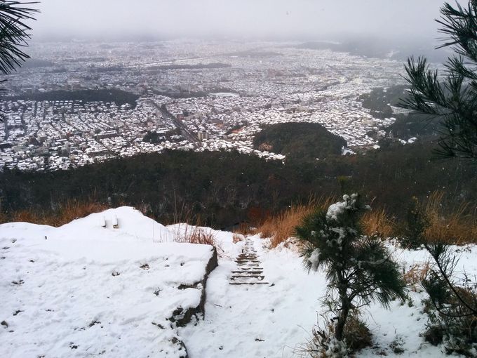 �l�G�܁X�̎p��������啶���R