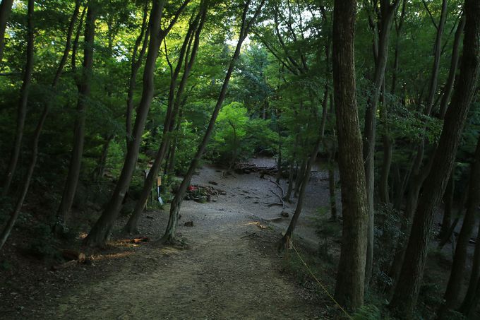 �o�R���ւ̃A�v���[�`