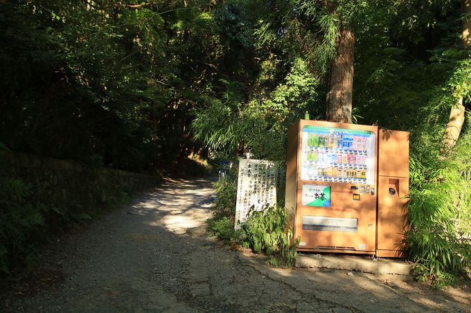 �o�R���ւ̃A�v���[�`