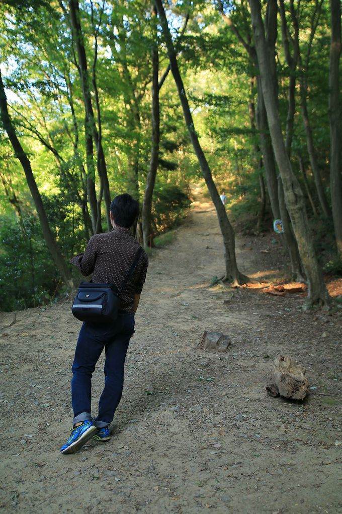 �o�R���ւ̃A�v���[�`