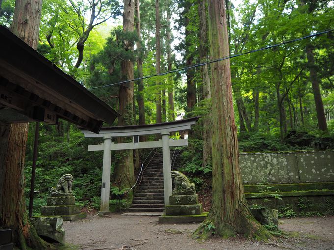 RƐMт`IÎɘȂތÙu\ac_Ёv