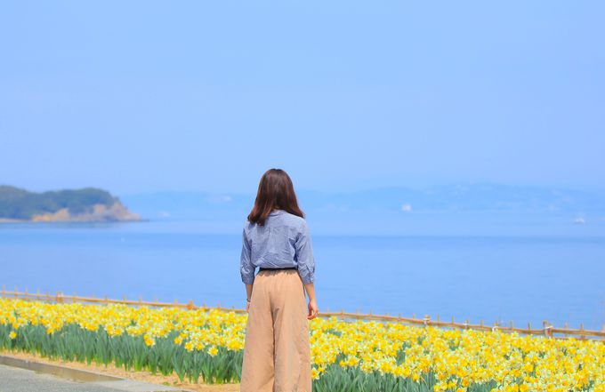 mꂴ錶̐iÍu働[hv