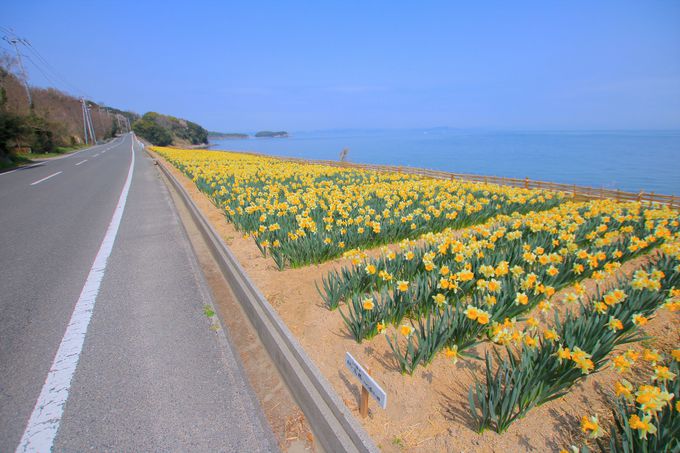 mꂴ錶̐iÍu働[hv