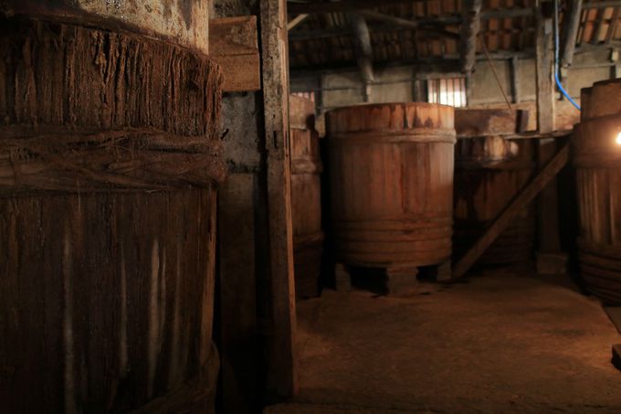 ڂŌĕ@ŊA̓`Iȏݖ茩wI