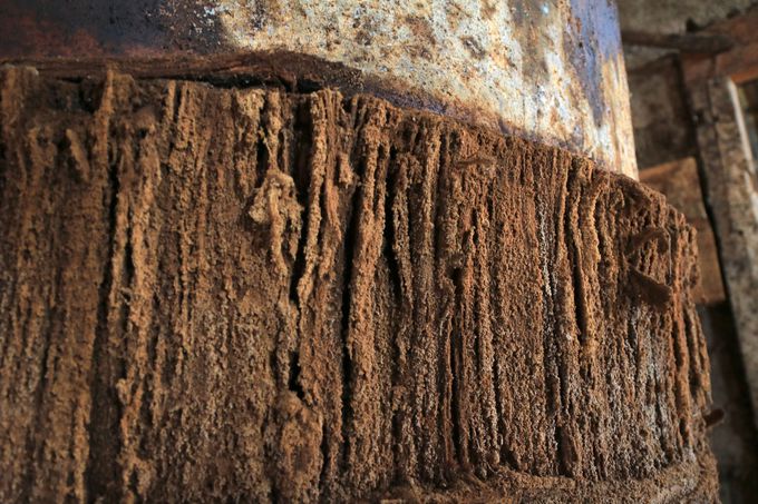 ڂŌĕ@ŊA̓`Iȏݖ茩wI