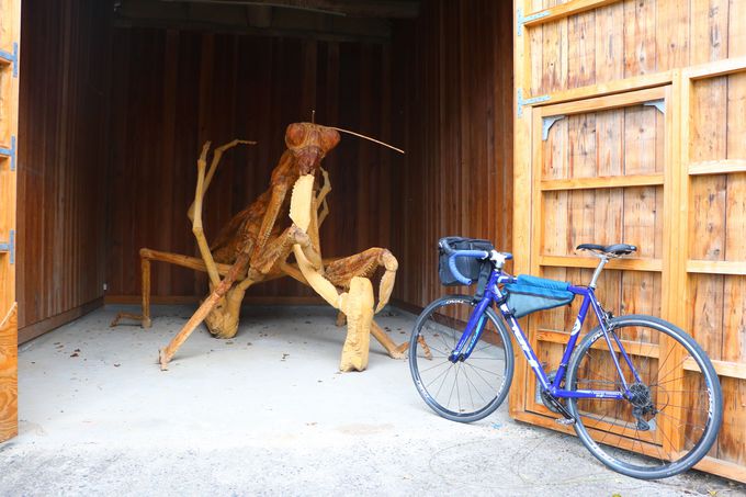 小豆島は自転車で回る観光スタイルがトレンド！