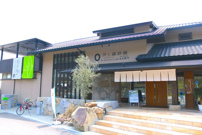 IтȂI[uyY̐XIu㐽kv