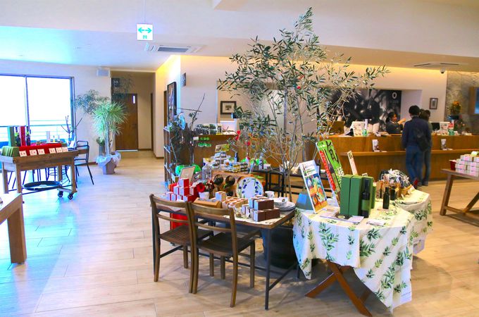 IтȂI[uyY̐XIu㐽kv