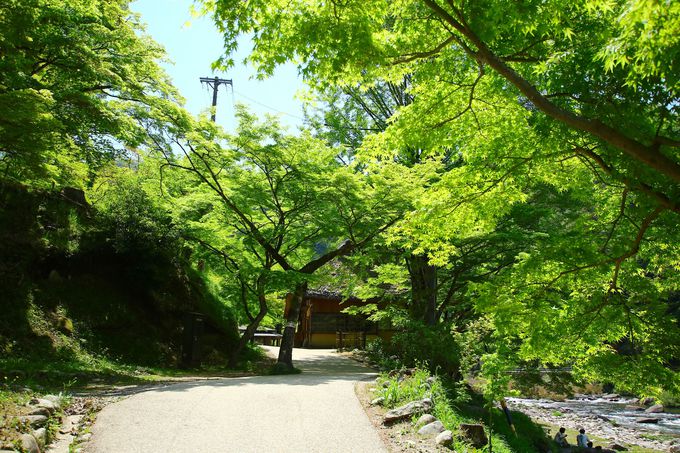 豊田市足助町 香嵐渓 は生命力溢れる新緑の時期がベスト 愛知県 Lineトラベルjp 旅行ガイド