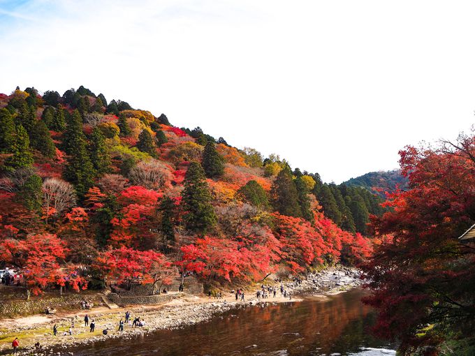 春から夏の「香嵐渓」は青紅葉が生命力を感じさせる癒しの空間