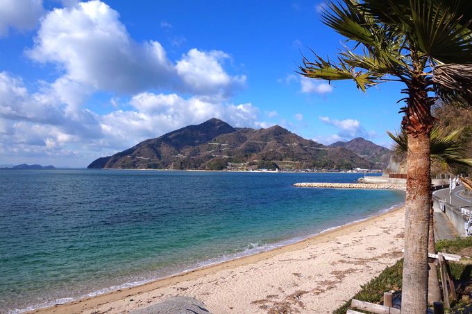 Ƃт܈̕iI̊ω肩݂Cӂ̓