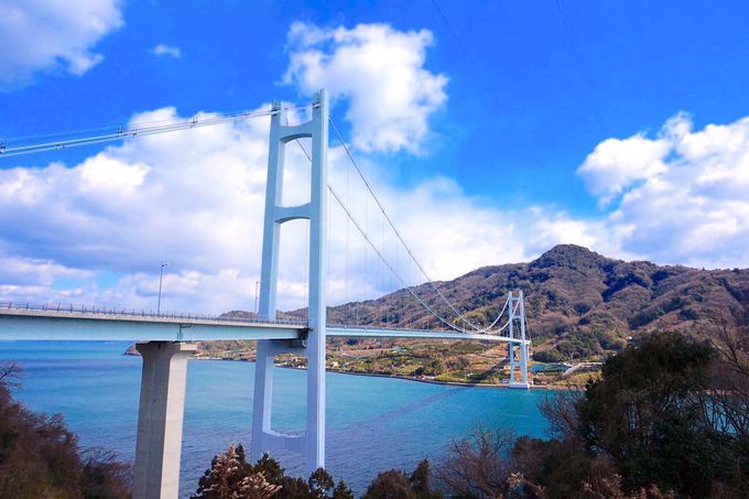 ӂ́u܂Ȃ݊Cv]Ԃŏ낤I