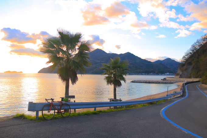 Ƃт܈̕iI̊ω肩݂Cӂ̓