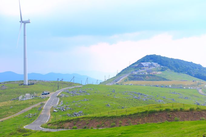 まるで日本のスイス 山上に広がる牧歌世界 高知県 四国カルスト 高知県 Lineトラベルjp 旅行ガイド