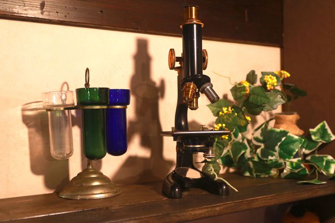 �����x����������I�I�uGUESTHOUSE�΁v�O�̃|�C���g