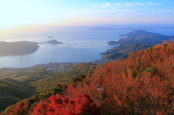 pЃ}jAɒmu΂̊فvI360x̃pm}W]